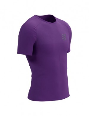 Camisas De Corrida Compressport Performance SS Tshirt M Masculino Roxo | 19537YKIO