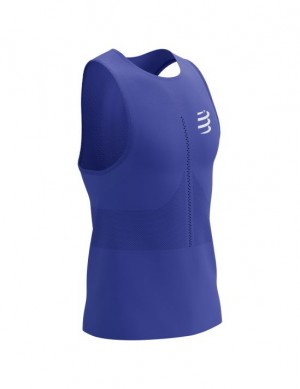 Camisas De Corrida Compressport Pro Racing Singlet M Masculino Azuis | 46273DMFC