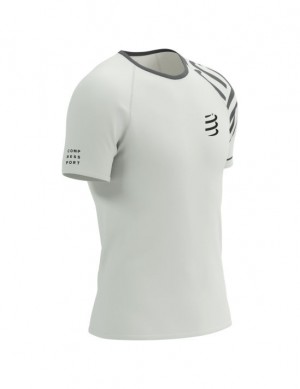 Camisas De Corrida Compressport Treino SS Tshirt M Masculino Multicoloridas | 89603DHLC