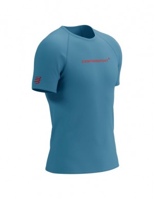 Camiseta Compressport Treino SS Logo Tshirt M Masculino Azuis | 51482PBXU