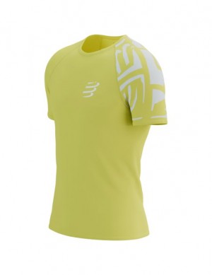 Camiseta Compressport Treino SS Tshirt M Verdes | 36527UCAJ