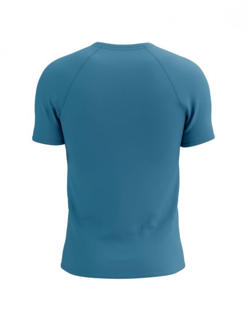 Camiseta Compressport Treino SS Logo Tshirt M Masculino Azuis | 51482PBXU