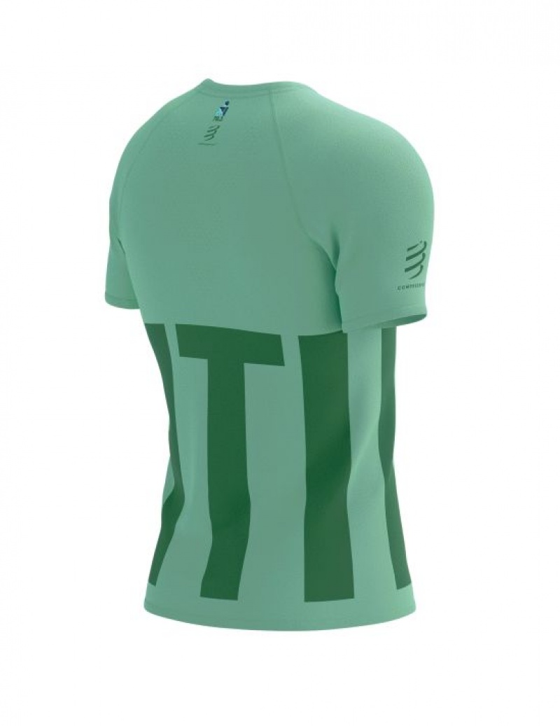 Camiseta Compressport Treino SS Tshirt M Masculino Multicoloridas | 03786NRCH