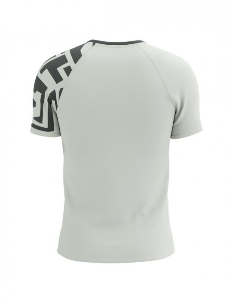 Camiseta Compressport Treino SS Tshirt M Masculino Multicoloridas | 52973NCST